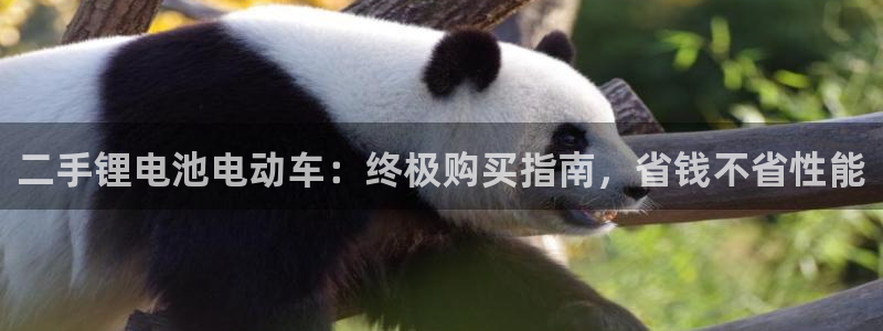 尊龙d88手机app免费下载