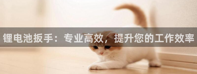 尊龙凯时登陆网址