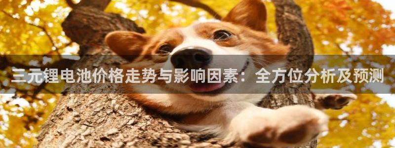 尊龙体育电竞官网