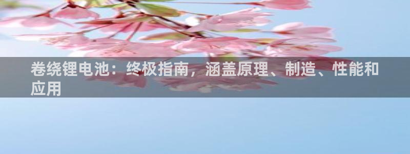 z6尊龙z6