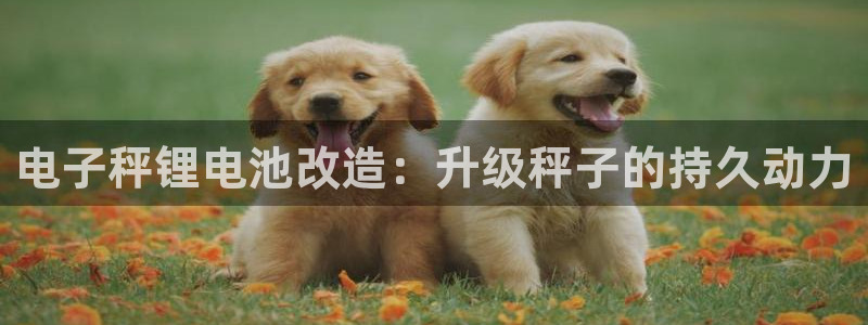 尊龙凯时 - 人生就是搏!