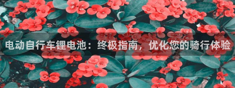 尊龙凯时存款不上分
