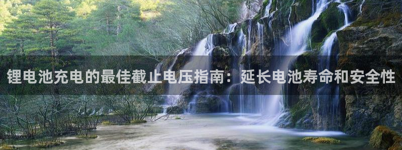 尊龙集团