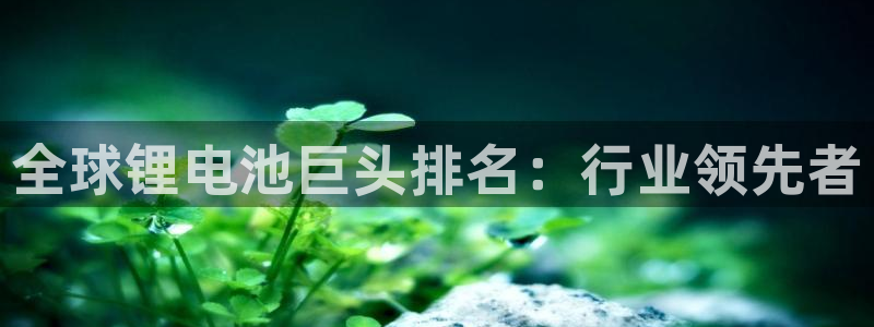 尊龙凯时为什么输了钱