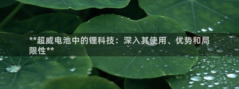 尊龙凯时企业文化