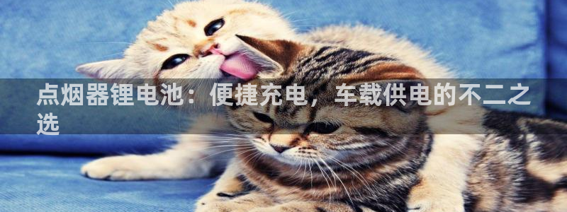 有人在凯时赢过钱吗