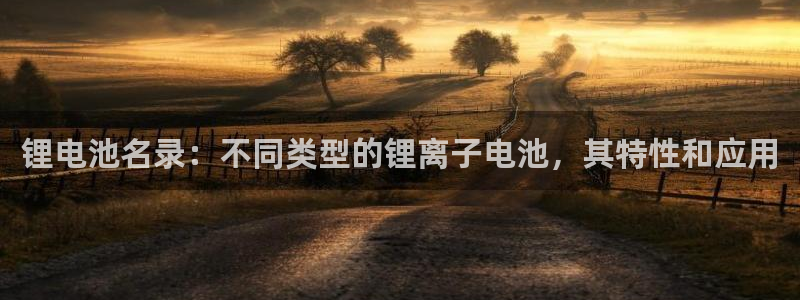 凯时国际最新
