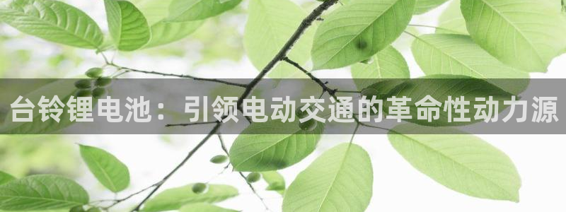 凯时k66会员登录