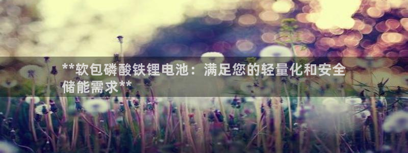 尊龙500价格