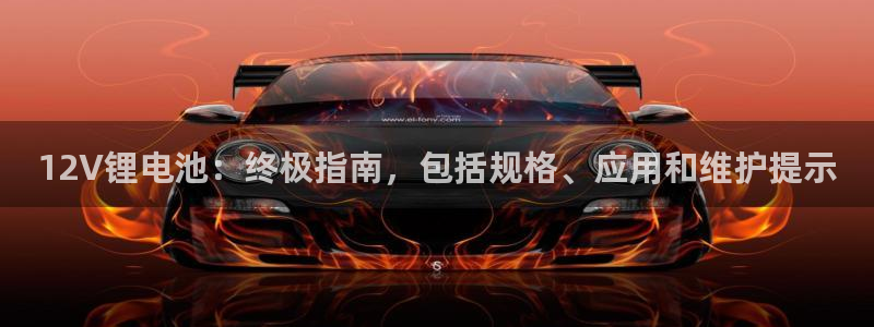 尊龙官网手机版下载