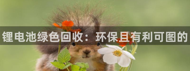 尊龙凯时能提现吗