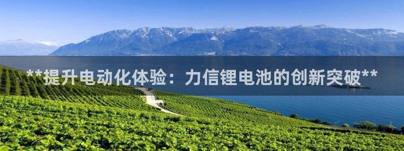 尊龙凯时网