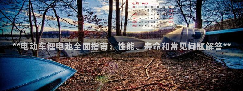 尊龙官网网页版