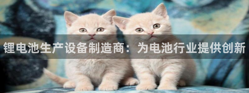 尊龙凯时存款不上分