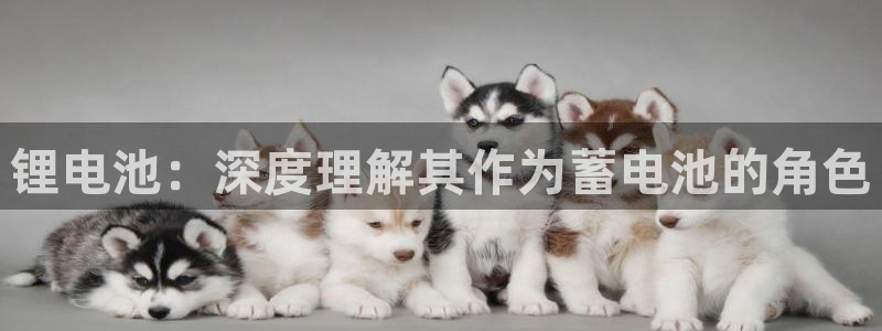 z6com尊龙凯时
