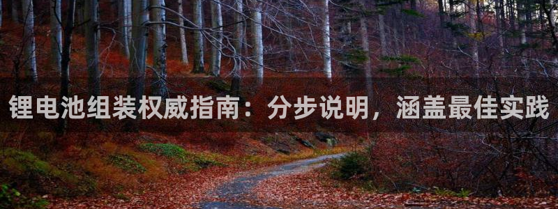 尊龙凯时人生就是博官网登录