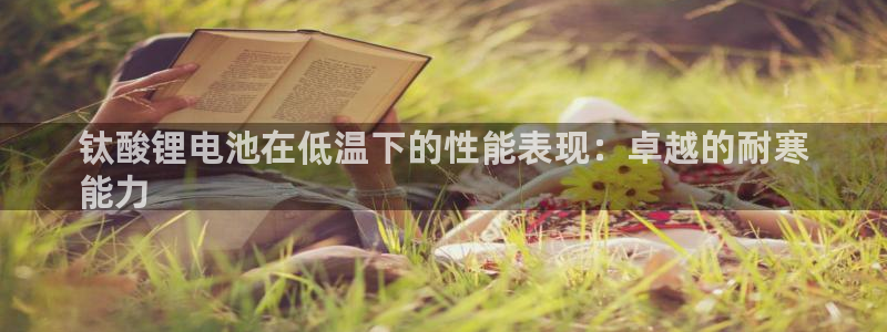尊龙凯时赢不了
