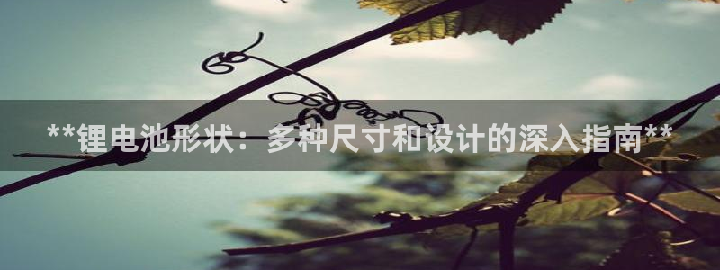 尊龙d88ag旗舰厅