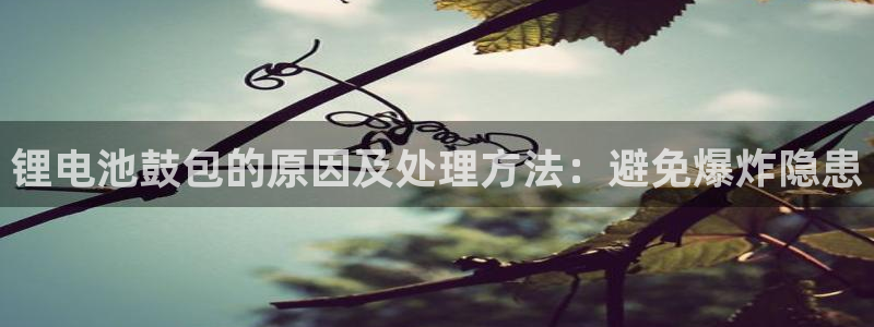 尊龙体育游戏平台