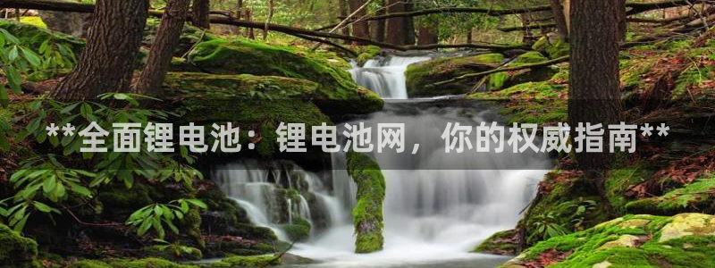 尊龙凯时赞助