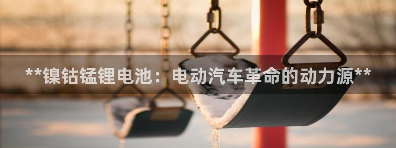 尊龙集团有限公司