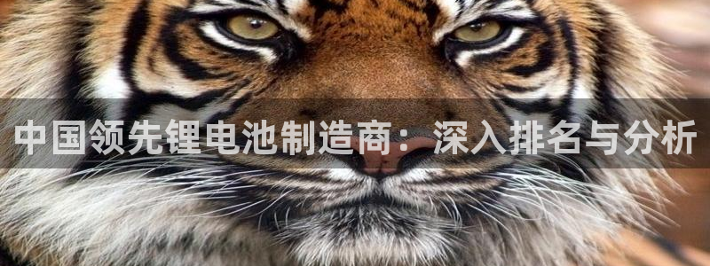 尊龙集团有限公司是国企吗