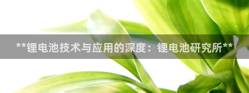 尊龙凯时取款不成功