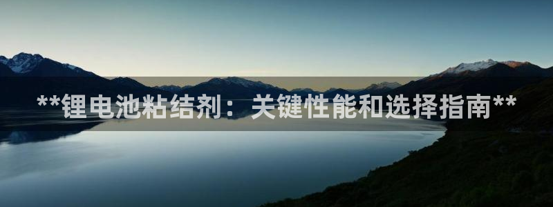 尊龙凯时论坛：**锂电池粘结剂：关键性能和选择指南**
