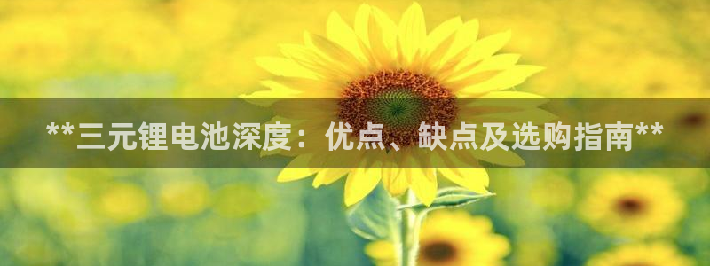 尊龙旗舰店
