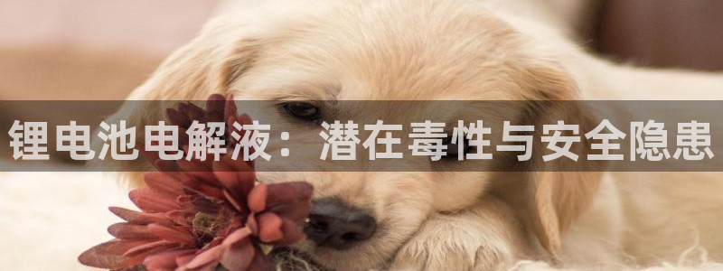 尊龙凯时产品系列