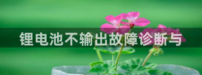 尊龙凯时提不了款