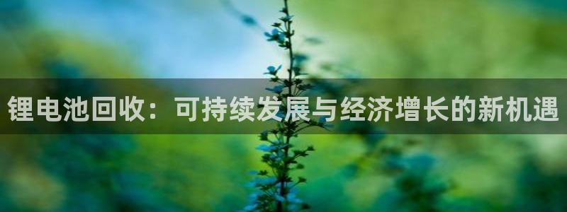 尊龙凯时app产品介绍