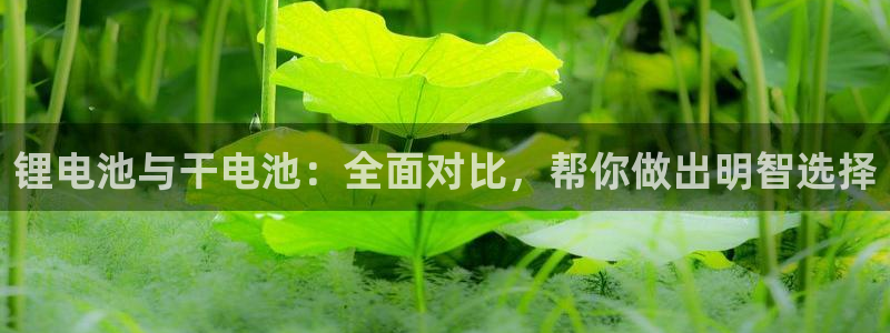 尊龙凯时平台不给出款怎么办：锂电池与干电池：全面对比，帮你做出明智选择