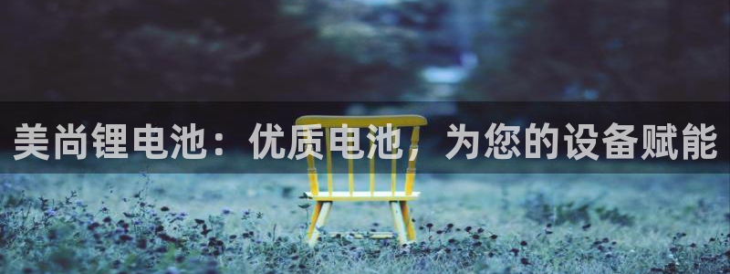 尊龙内地：美尚锂电池：优质电池，为您的设备赋能
