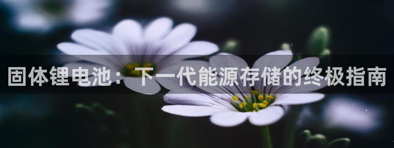 尊龙凯时官方网站