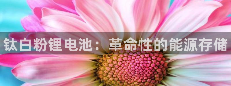 尊龙人生就是博一下首页：钛白粉锂电池：革命性的能源存储