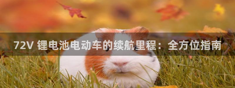 尊龙是什么软件