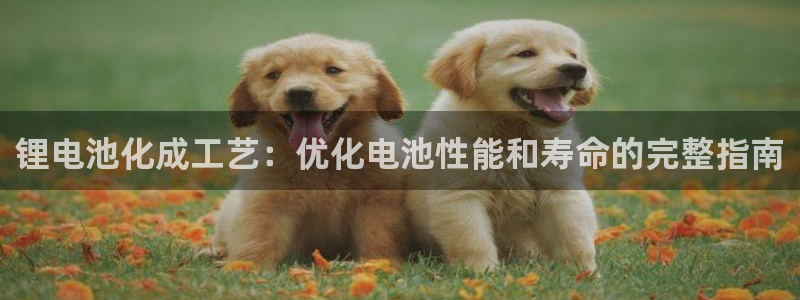 尊龙凯时人生就博官网