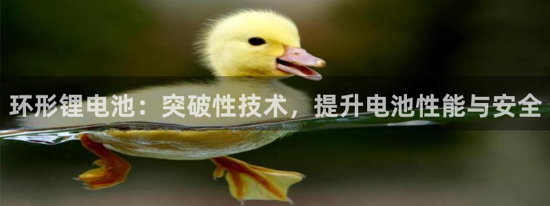 凯时K66最新版本下载
