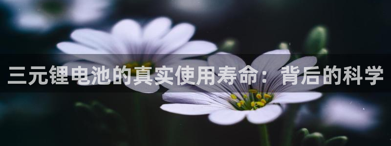 尊龙实业 吴友良