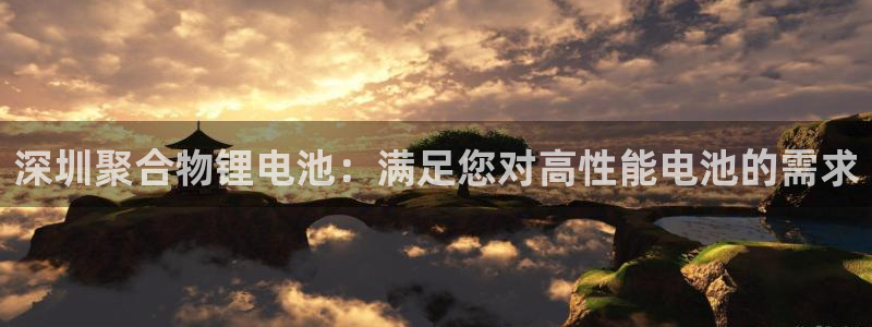 尊龙d88官网确来就送38：深圳聚合物锂电池：满足您对高性能电池的需求
