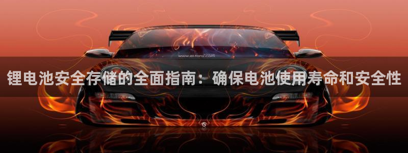 尊龙官方网站最新版V9.3.06介绍：锂电池安全存储的全面指南：确保电池使用寿命和安全性