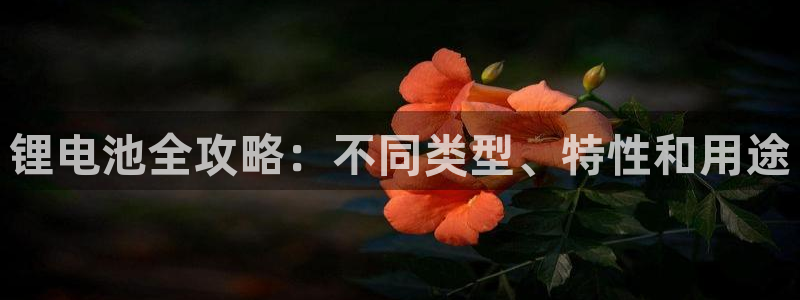 尊龙王t400