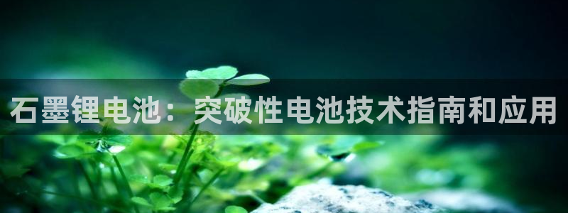 尊龙最新版：石墨锂电池：突破性电池技术指南和应用