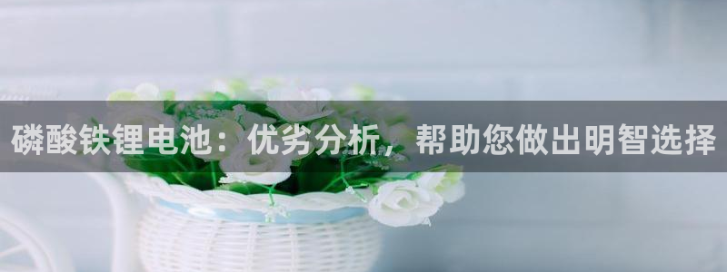 AG尊龙登陆网址：磷酸铁锂电池：优劣分析，帮助您做出明智选择