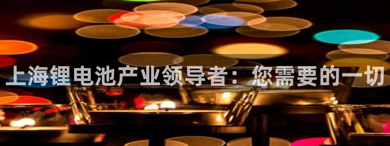 尊龙网站注册网：上海锂电池产业领导者：您需要的一切