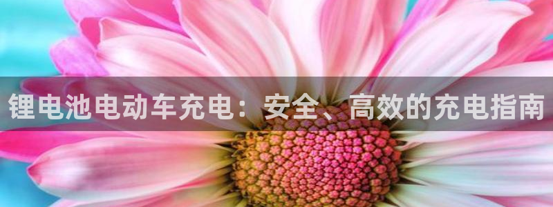 尊龙 下载：锂电池电动车充电：安全、高效的充电指南