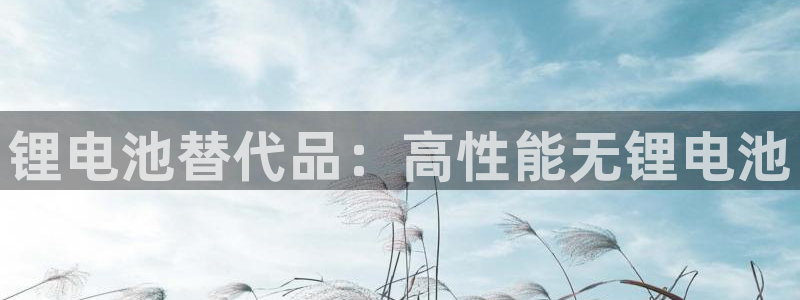 尊龙现金推荐ag发财网：锂电池替代品：高性能无锂电池