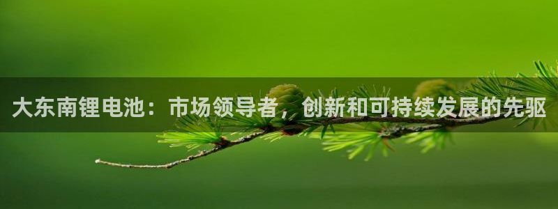 尊龙凯时贴吧：大东南锂电池：市场领导者，创新和可持续发展的先驱