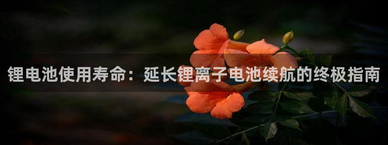 尊龙凯时新闻：锂电池使用寿命：延长锂离子电池续航的终极指南
